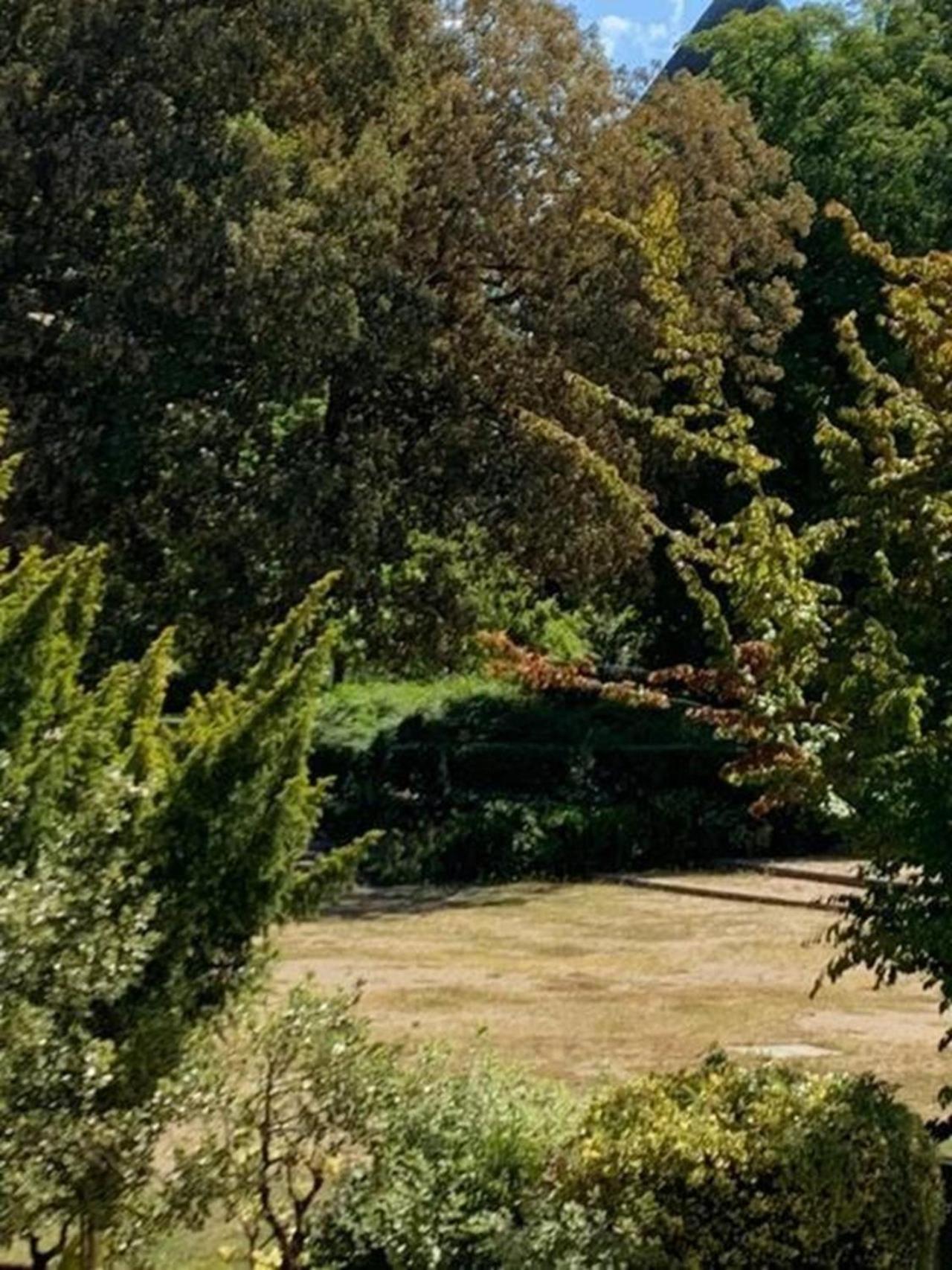 Reims Centre-Ville - 2 Chambres - 6 Personnes Au 1 Er Etage Ρενς Εξωτερικό φωτογραφία